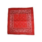 Bandana style western