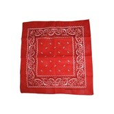 Western bandana scarf handkerchief