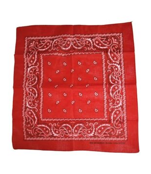Western bandana scarf handkerchief