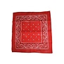 Bandana style western