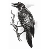 Tattoos Gothic / Raaf