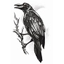 Tattoos Gothic / Raaf