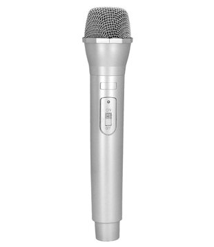Microfoon zilver  23,5cm
