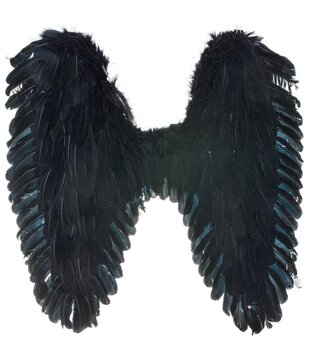Black feather wings 70x65 cm