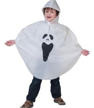 poncho geest
