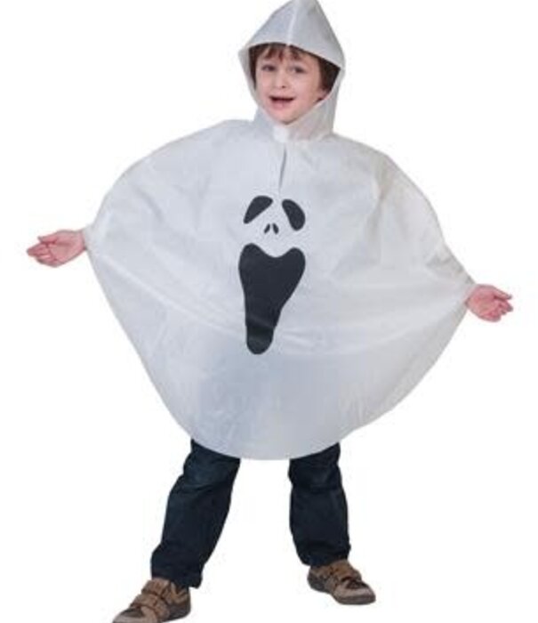 poncho geest