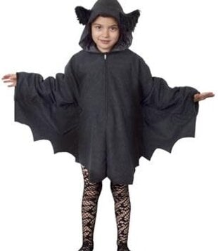 Cape vleermuis kind