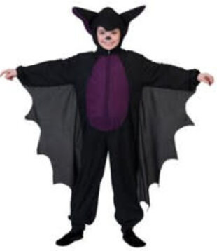 Combinaison chauve-souris