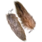 foxtail