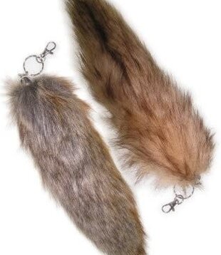 foxtail
