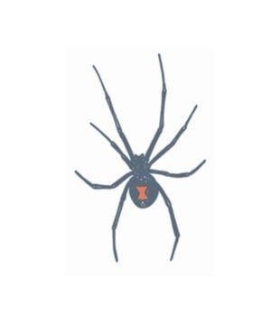 Tattoos - Black Widow