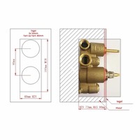 Inbouw Douche Thermostaat BWS Koper Geborsteld Koper (Inclusief inbouwdeel)