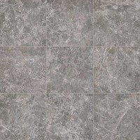 Vloertegel  Lux Grigio Imperiale 60x60 (prijs per m2)