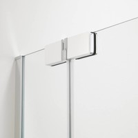 Nisdeur Custom Links 80X195 Cm Swingdeur Zilver Hoogglans Helder Glas