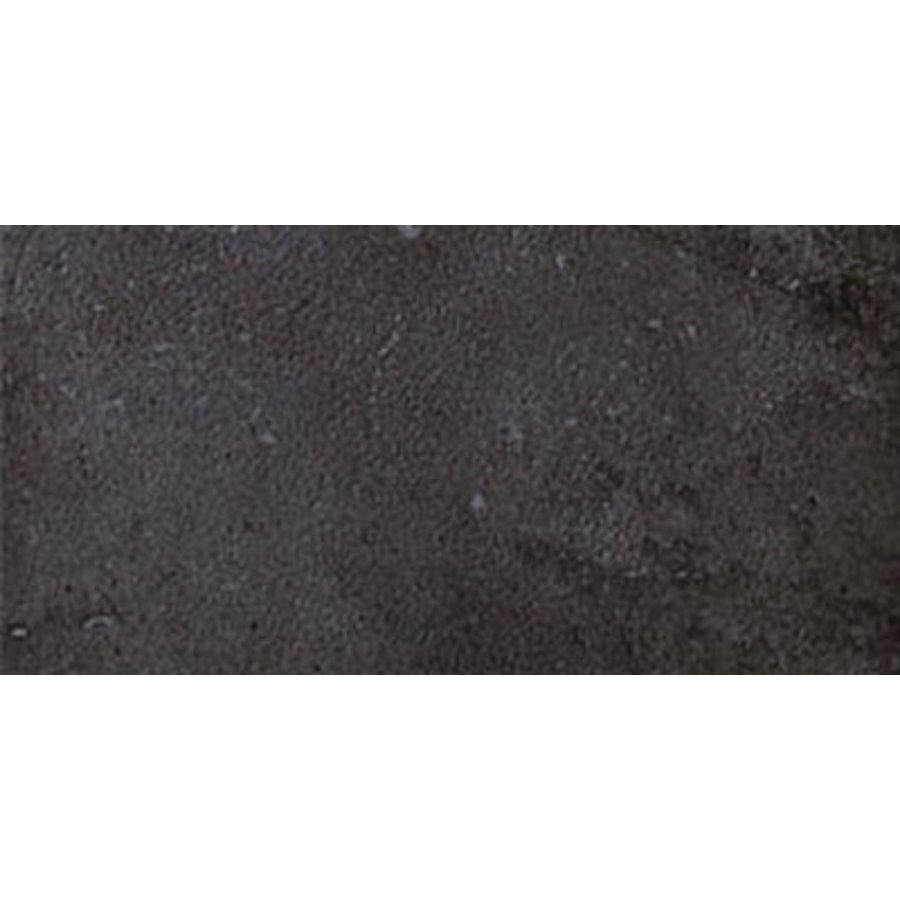 Vloertegel Ardosia Nero 30X60Cm (prijs per m2)