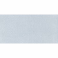 Vloertegel Icon Grey 60X120 (prijs per m2)