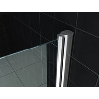 Nisdeur Met Profiel 60/70/80/90/100X200 Cm 8 Mm VeiligheidsglasNisdeur Met Profiel 60/70/80/90/100X202 Cm 8 Mm Veiligheidsglas