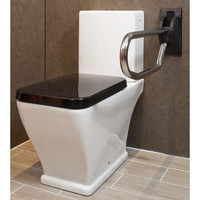 Toiletbeugel Handicare Linido Opklapbaar Aangepast Sanitair 90 cm RVS Gepolijst Antraciet