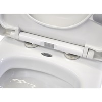 Wandcloset Sanicare Rondo met Soft-Close Toiletzitting Keramiek Quick Release 51x36 cm Wit