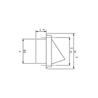 Gevelkap BWS Ventilatie Aansluitmaat Ø 100 mm Grofmazig Gaas Met Hoge Doorlaat RVS