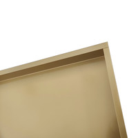 Inbouwnis AQS 30x60x7 cm RVS Goud