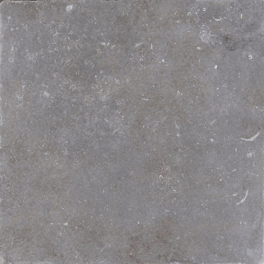 Vloertegel Cerriva Unique Blue Noble Naturale 80x80 cm Gris (prijs per m2)