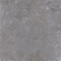 Vloertegel Cerriva Unique Blue Noble Naturale 80x80 cm Gris (prijs per m2)