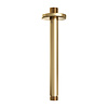 Plafondarm Brauer Gold Edition 20 cm Geborsteld Goud
