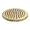 Regendouche Kop Brauer Gold Edition 20 cm Geborsteld Goud