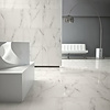 Profiker Vloertegel Profiker Carrara Gepolijst 60x120cm (Doosinhoud 1,44m²) (prijs per m2)