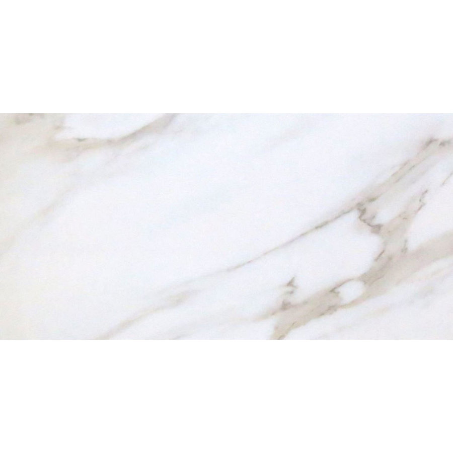 Vloertegel Profiker Carrara Gepolijst 60x120cm (Doosinhoud 1,44m²) (prijs per m2)