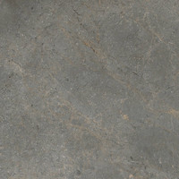 Vloertegel TS-Tiles Stonemaster Graphite 60x60 cm (doosinhoud 1.43m2)(prijs per m2)