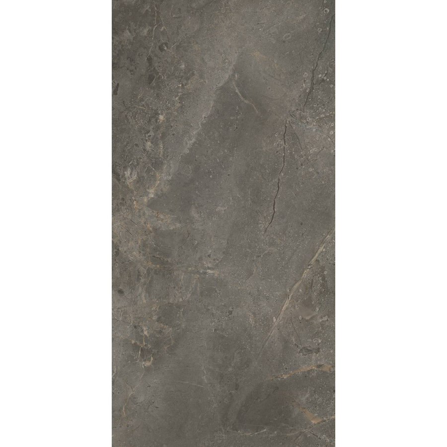 Vloertegel TS-Tiles Stonemaster Graphite 60x120 cm (doosinhoud 1.43m2) (prijs per m2)