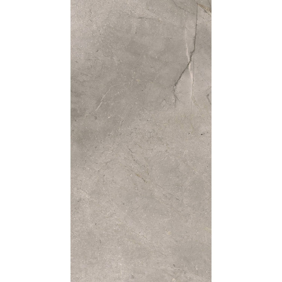 Vloertegel TS-Tiles Stonemaster Silver 60x120 cm (doosinhoud 1.43m2) (prijs per m2)
