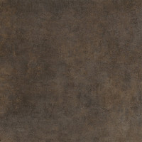 Douglas & Jones Vloer en Wandtegel OnebyOne Brown Radical 100x100cm (Doosinhoud 2m2) (prijs per m2)