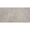 Alaplana Vloertegel Alaplana Larsen Grey 60x120 cm (doosinhoud 1.43m2) (prijs per m2)