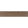 Vloertegel Alaplana Isengard Mat Roble 30x150 cm Houtlook Donker Bruin (doosinhoud 1.34m2) (prijs per m2)