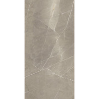 Vloertegel Energieker Pietragrey Glans 60X120 cm Taupe (Doosinhoud 1,44M2) (prijs per m2)