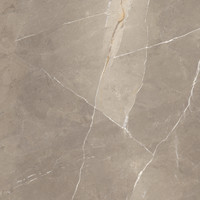 Vloertegel Energieker Pietragrey Glans 60X60 cm Taupe (Doosinhoud 1,44M2) (prijs per m2)