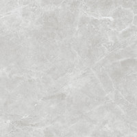 Vloertegel Alaplana Amalfi 120x120 cm Gris Glans (doosinhoud 1.44m2) (prijs per m2)