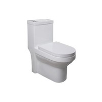 Duoblok Sapho Hygie Met Ingebouwde Fontein Soft Close Wit (PK)