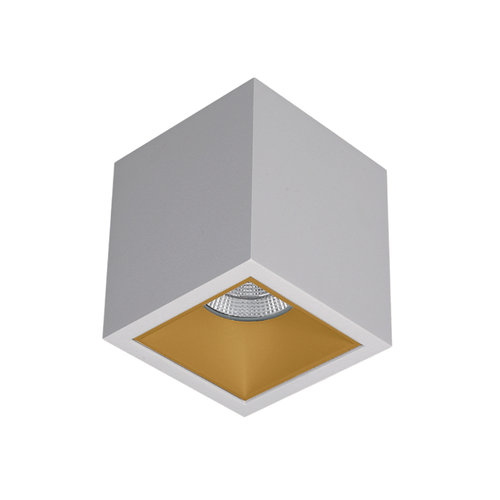 Spot Aquasplash Daniel Aluminium 745Lm 9,2W Wit Met Gouden Anti-Glare Ring 