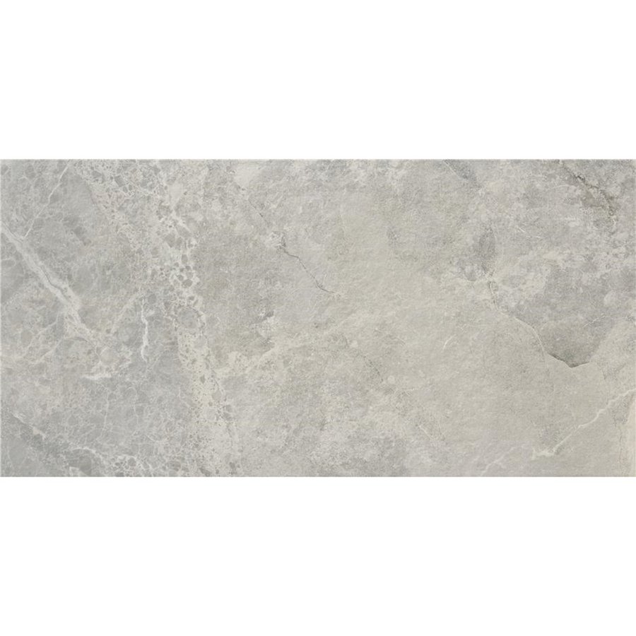 Vloertegel Alaplana P.E.Tenby Slipstop Grey 60x120 cm Grijs (doosinhoud 1.43m2) (prijs per m2)