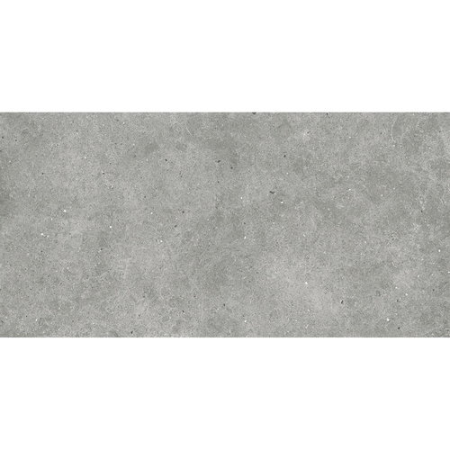 Vloertegel Euro Flyzone Soul 60x120 cm Grey (Doosinhoud 1.44 m2) 