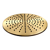 Regendoucheset Opbouw Brauer Gold Carving 30 cm Thermostatisch met Staaf Handdouche Geborsteld Goud