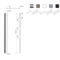 Elektrische Design Radiator Sanicare Plug En Play 172 x 60 cm Inox Look Thermostaat Zwart 1127 Watt