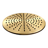 Regendouche Kop Brauer Gold Edition 30 cm Geborsteld Goud
