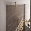 Regendoucheset Inbouw Brauer Gold Edition Thermostatisch 20cm met Plafondarm en Handdouche Staaf Losse Stopkranen Geborsteld Goud