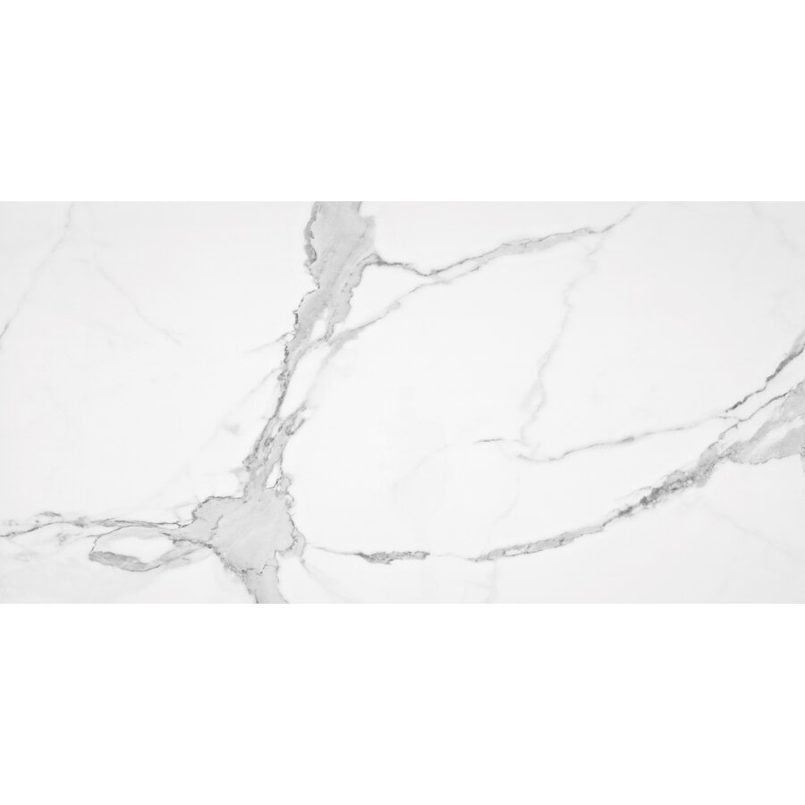 Vloertegel Alaplana P.E. Palladio Statuario Gepolijst 60x120 cm Gerectificeerd Marmerlook (Doosinhoud 1.44 m2) (prijs per m2)