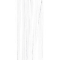 Vloer- en Wandtegel Energieker Ekxtreme 120x280 cm Glanzend Dolomite (Prijs per Stuk)